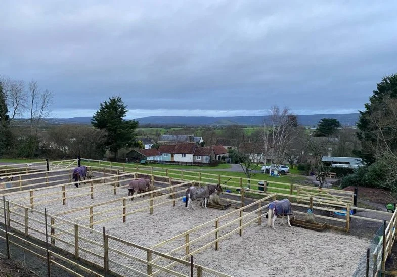 Equestrian turnout area completed